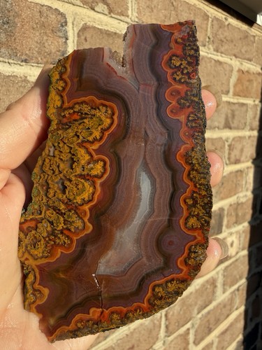 Agata pennacchio dorato
