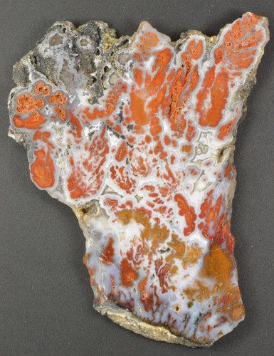 Wingate plume agata death - wingate,