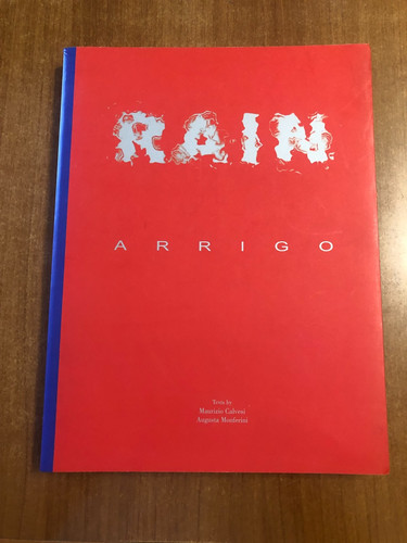 Rain arrigo ediz plumelia - arrigo, 1^ediz.