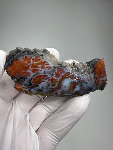 Raro wingate pass plume agata - wingate,