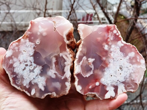 Coppia agate rosa - coppia, di