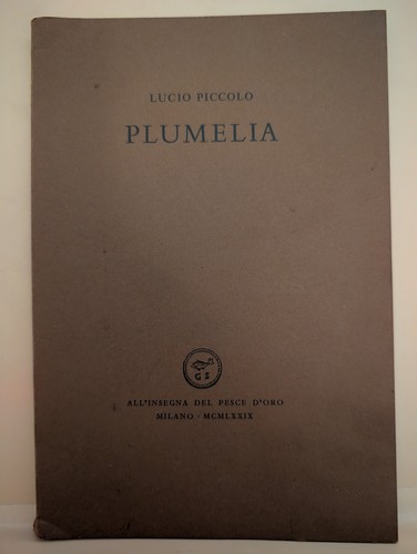 Lucio piccolo plumelia - lucio,