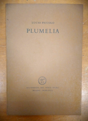 Lucio piccolo plumelia - -,